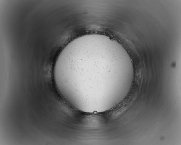 X0000102480708200808221707