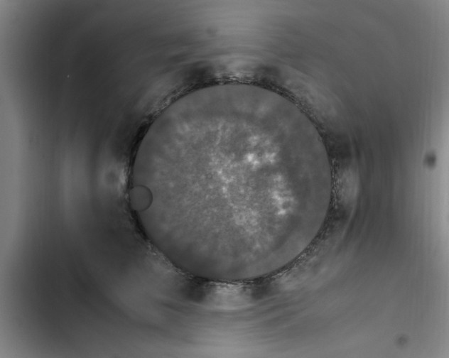 X0000102480709200808221707