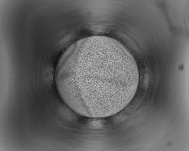 X0000102480710200808221707