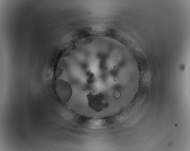 X0000102480711200808221707