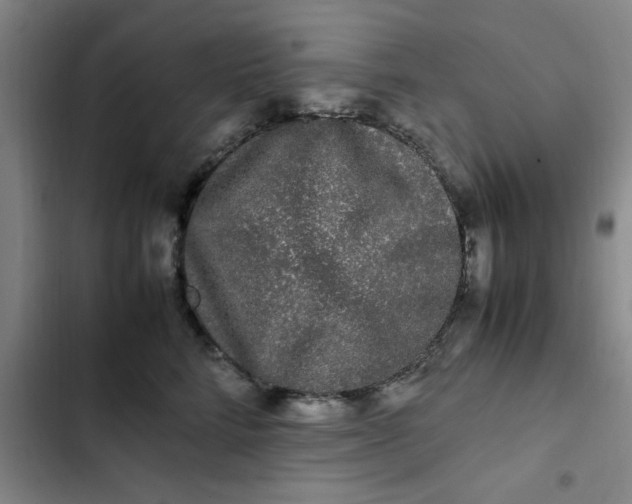 X0000102480712200808221707