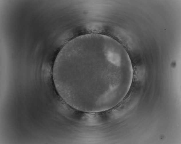 X0000102480713200808221707