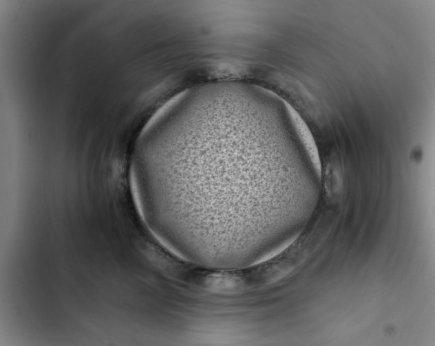 X0000102480714200808221707