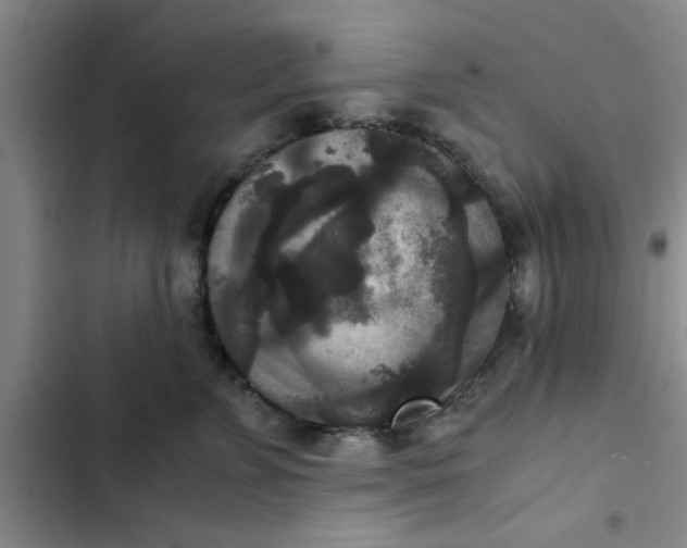 X0000102480715200808221707