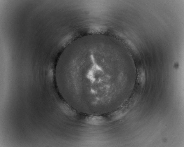 X0000102480716200808221707