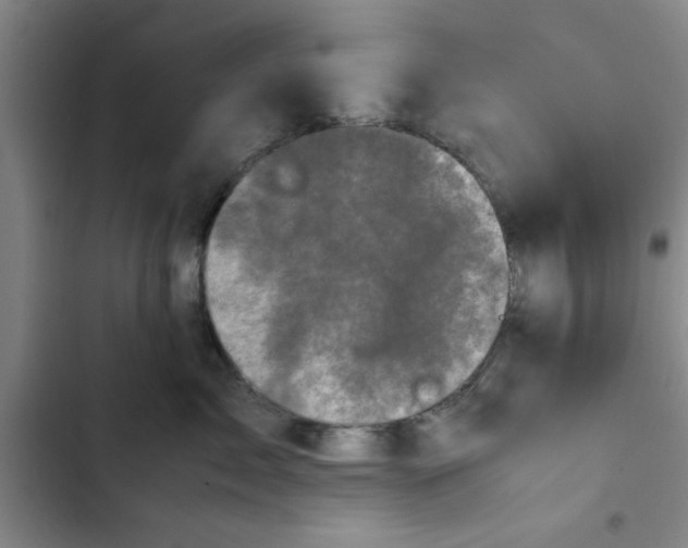 X0000102480717200808221707