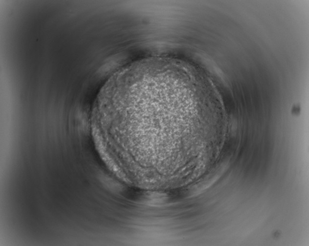 X0000102480719200808221707