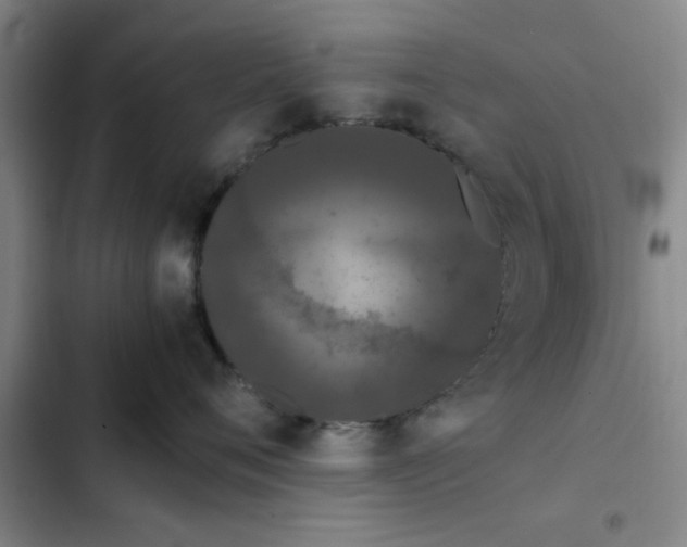 X0000102480720200808221707