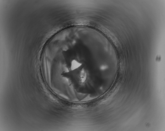 X0000102480721200808221706