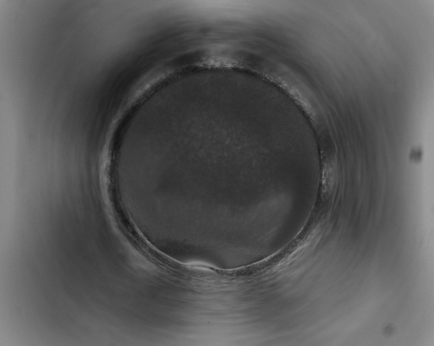 X0000102480722200808221706