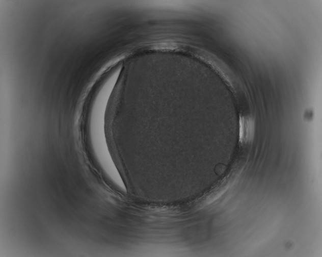 X0000102480723200808221706