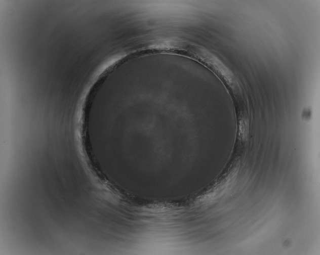 X0000102480724200808221706