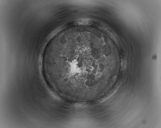 X0000102480725200808221706