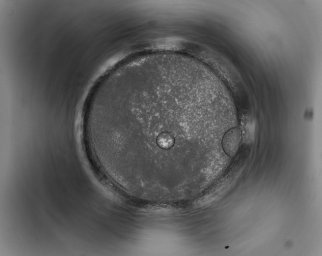 X0000102480726200808221706