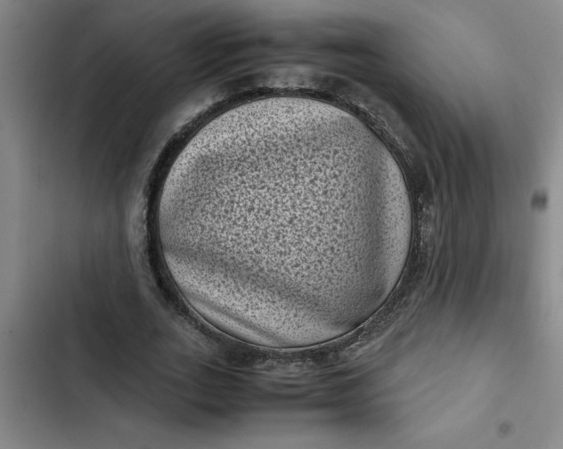 X0000102480727200808221706