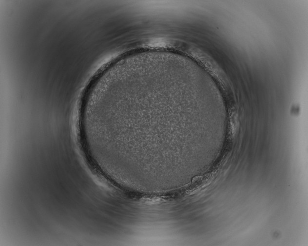 X0000102480728200808221706