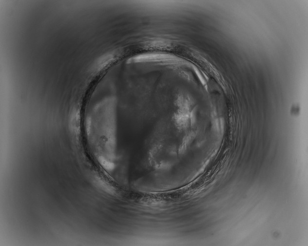 X0000102480729200808221706