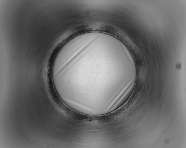 X0000102480730200808221706