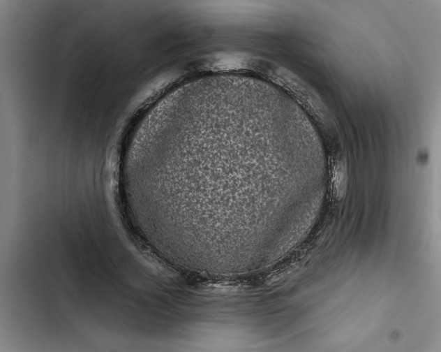 X0000102480732200808221706