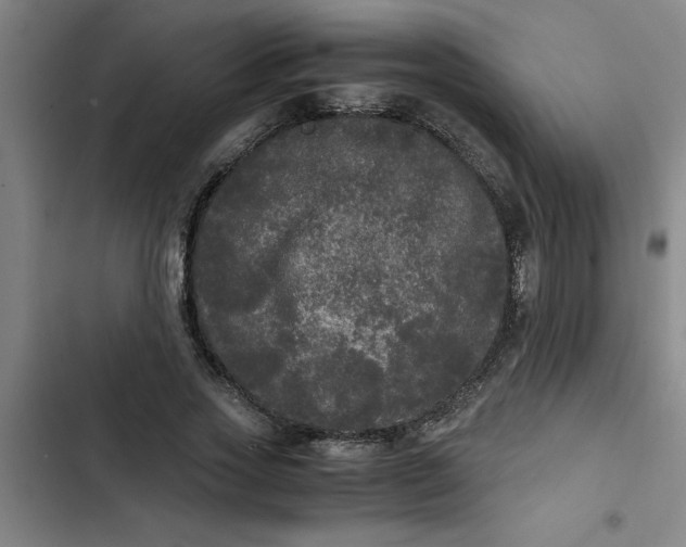 X0000102480733200808221706