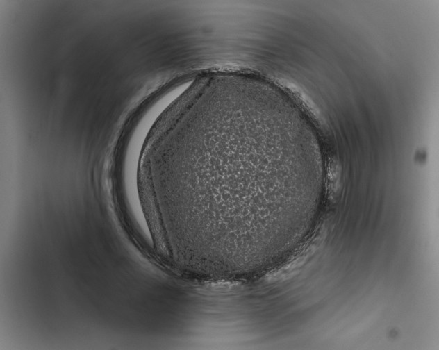 X0000102480734200808221706