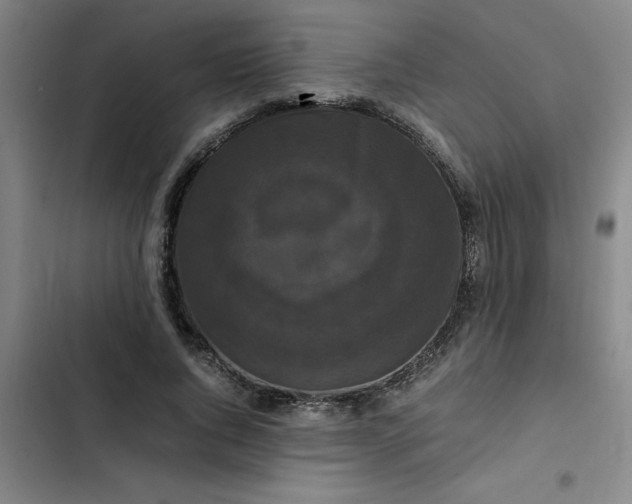 X0000102480736200808221706