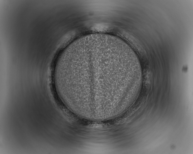 X0000102480738200808221706