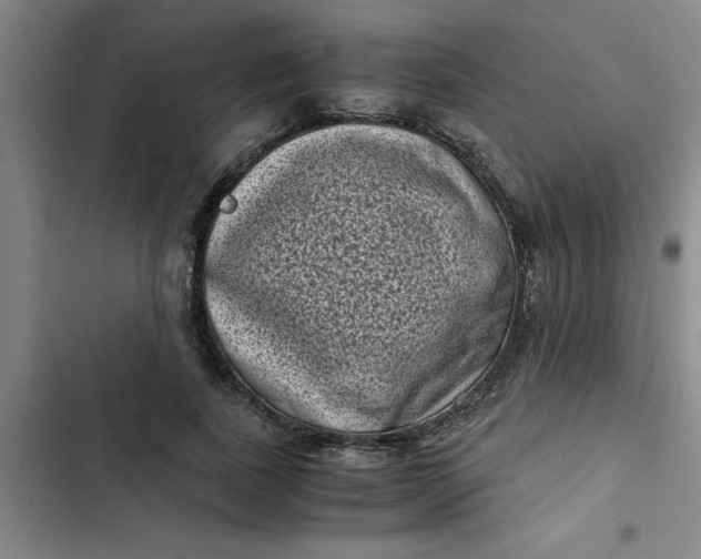 X0000102480739200808221706