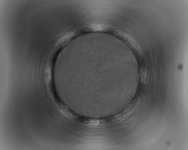 X0000102480740200808221706