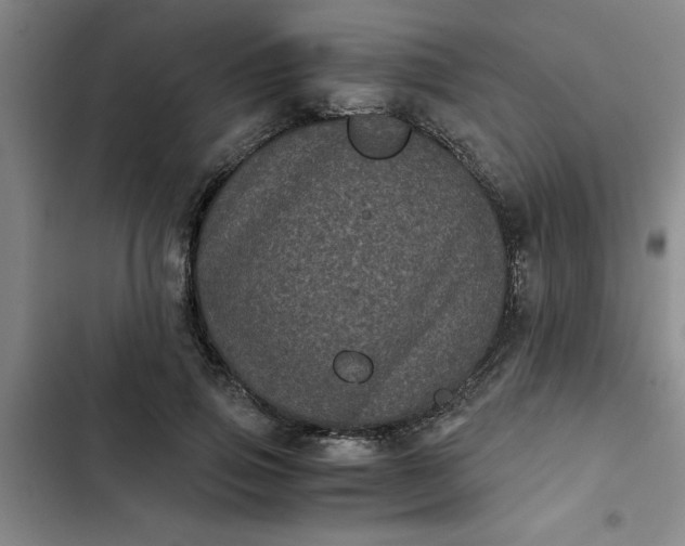 X0000102480741200808221706