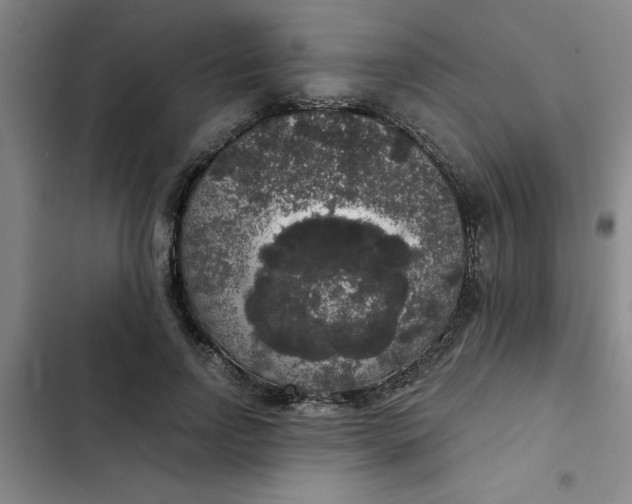 X0000102480742200808221706