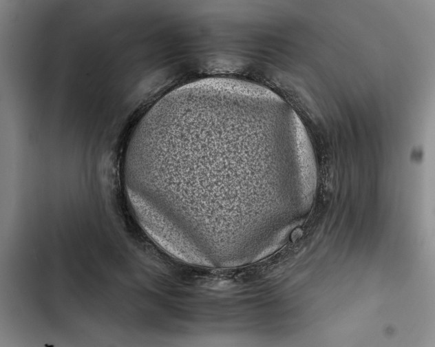 X0000102480743200808221707