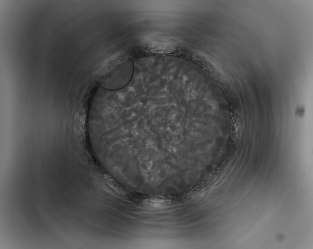 X0000102480745200808221707