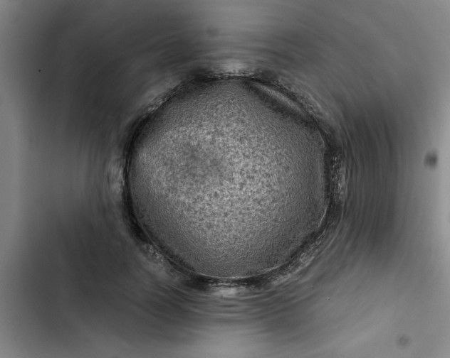 X0000102480746200808221707