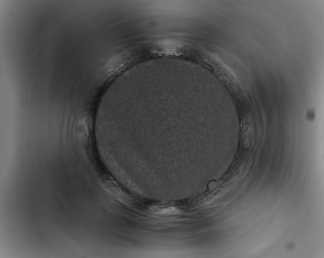 X0000102480747200808221707