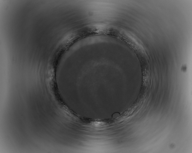 X0000102480748200808221707