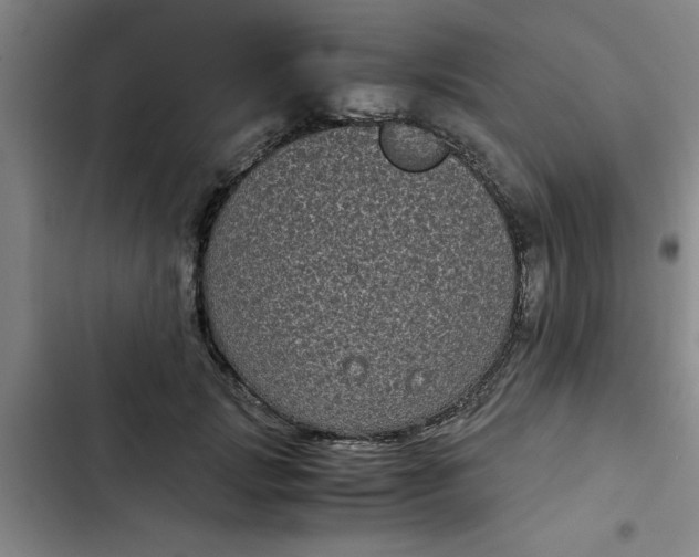 X0000102480749200808221707