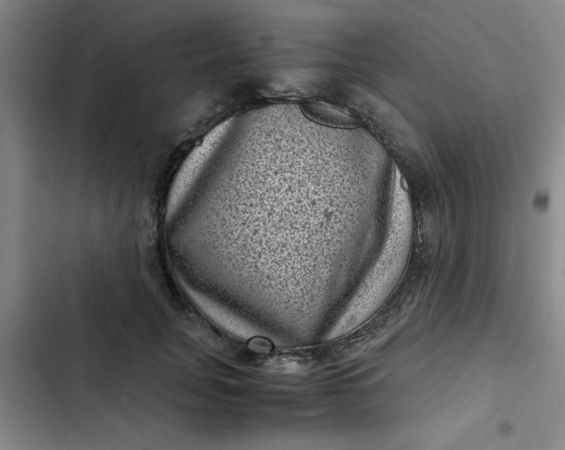 X0000102480751200808221707