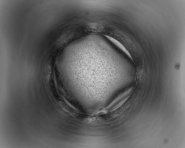 X0000102480752200808221707