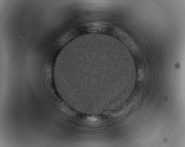 X0000102480753200808221707