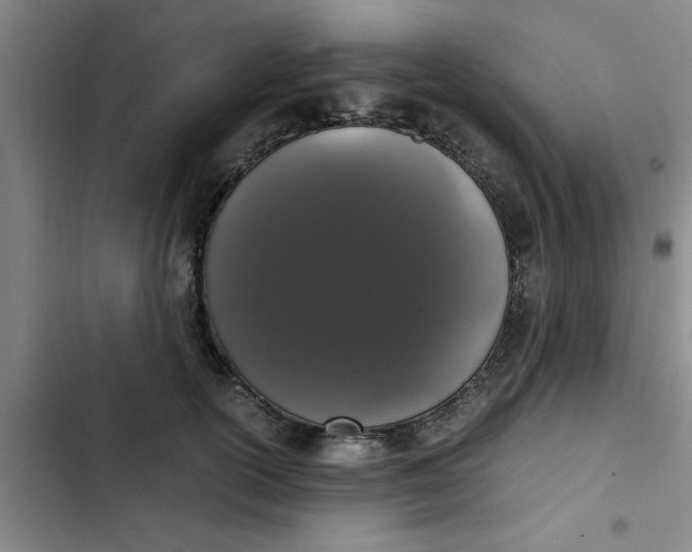 X0000102480754200808221707