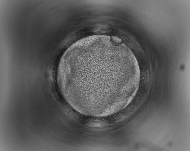 X0000102480755200808221707