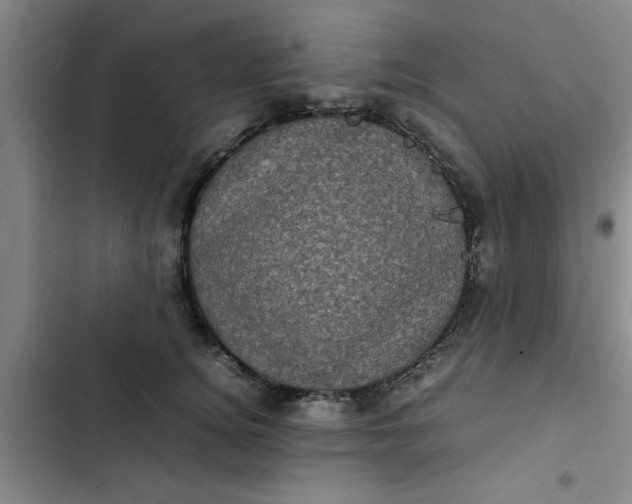 X0000102480756200808221707