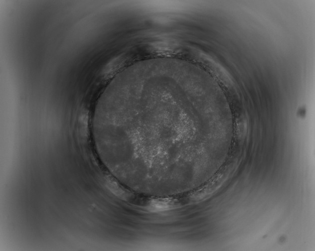 X0000102480757200808221707