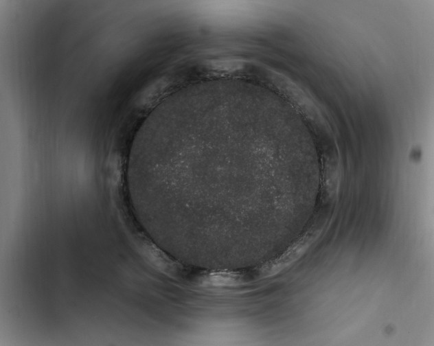 X0000102480758200808221707