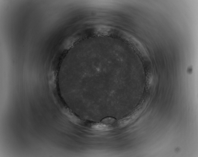 X0000102480759200808221707