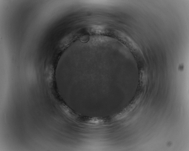 X0000102480760200808221707