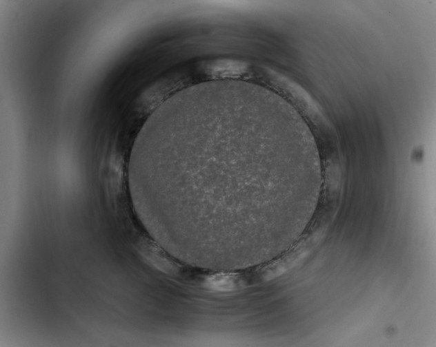 X0000102480761200808221707