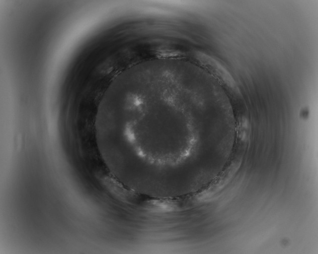 X0000102480763200808221707