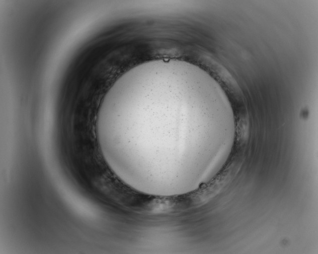 X0000102480764200808221707